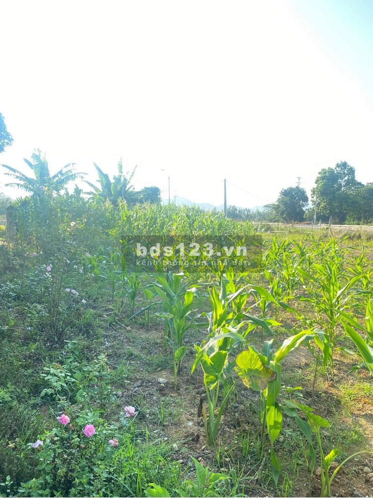 Bán đất đường đôi thị trấn Thanh Sơn Phú Thọ liên hệ xem đất 0395663883 pháp lý đủ