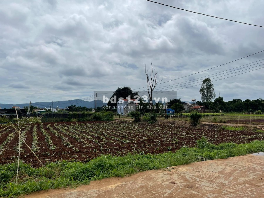 Bán nhanh lô đất diện tích 400m2, View Đồi Đẹp, Nam Ban, chỉ 480 triệu liên hệ 0935434534