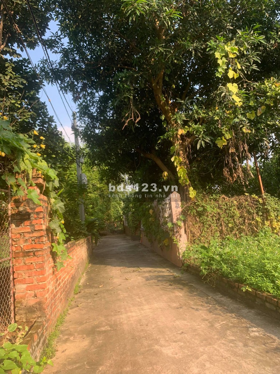 Bán nhanh 55m2 đất Giao Tất A, Kim Sơn đường oto vào giá 23tr/m2. LH 0983253436
