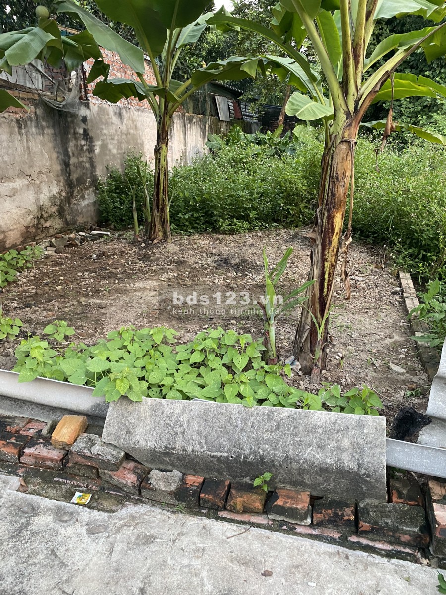 Bán nhanh lô đất diện tích 68m2 Giao Tất A, Kim Sơn đường oto vào, liên hệ 0983253436