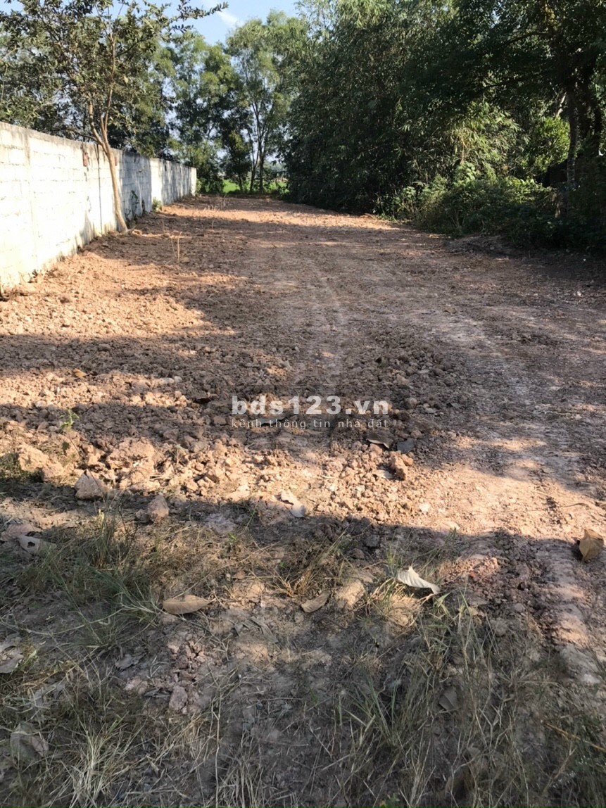 Cần bán đất mặt tiền Tỉnh Lộ 2 xã Trung Lập Hạ Củ Chi vị trí giáp Thị Trấn Củ Chi