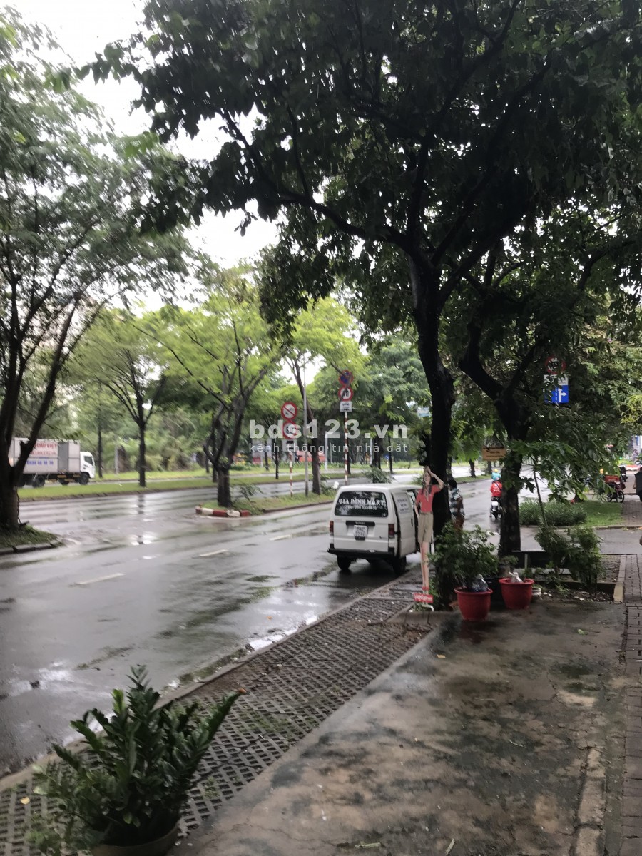 Chính chủ cần bán gấp nhà mặt tiền khu nhà liền kề Quận 7, giá 11 tỷ, giấy tờ đầy đủ, lhcc