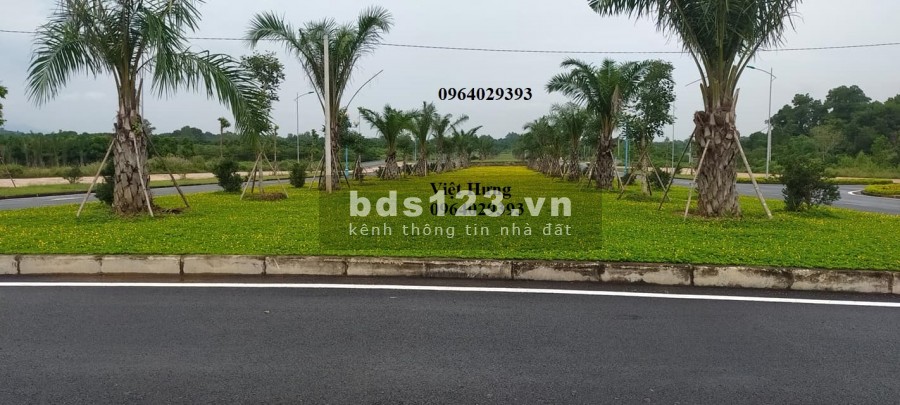 Cực Hot Lô đất Đầu tư Lãi Nhanh Lợi Nhuận Khủng vành đai công nghệ cao HÒA LẠC