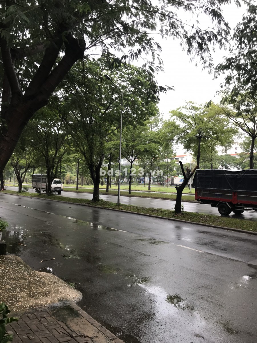 Chính chủ cần bán gấp nhà mặt tiền khu nhà liền kề Quận 7, giá 11 tỷ, giấy tờ đầy đủ, lhcc