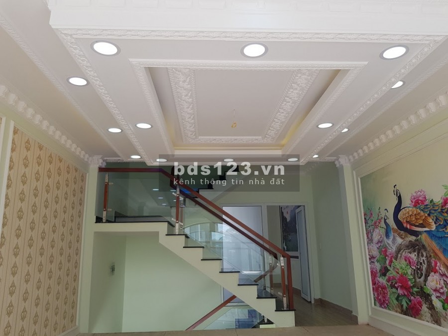 Bán biệt thự mini, diện tích 125m2, SHR, Tỉnh Lộ 10, gần chợ và bệnh viện Bình Chánh