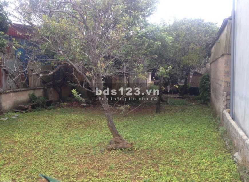Bán cắt lỗ mảnh đất nông trường Mộc Châu đón cảnh đẹp bốn mùa, liên hệ 0333642188