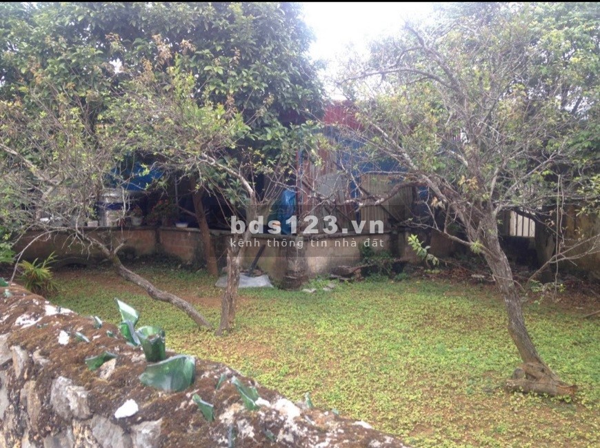 Bán cắt lỗ mảnh đất nông trường Mộc Châu đón cảnh đẹp bốn mùa, liên hệ 0333642188
