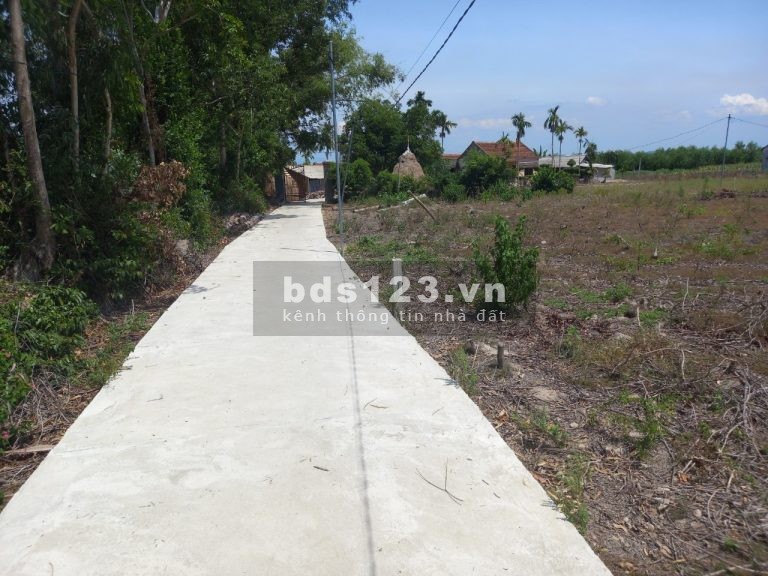 Đất vườn Tịnh Hà diện tích sử dụng 1450m2 trong đó có 200m đất ở đường nhựa, xe. vào tận nơi