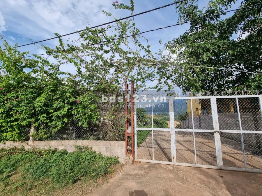 Bán mảnh đất đắc địa phù hợp với mọi loại hình kinh doanh ở Mộc Châu, sang tên luôn trong ngày
