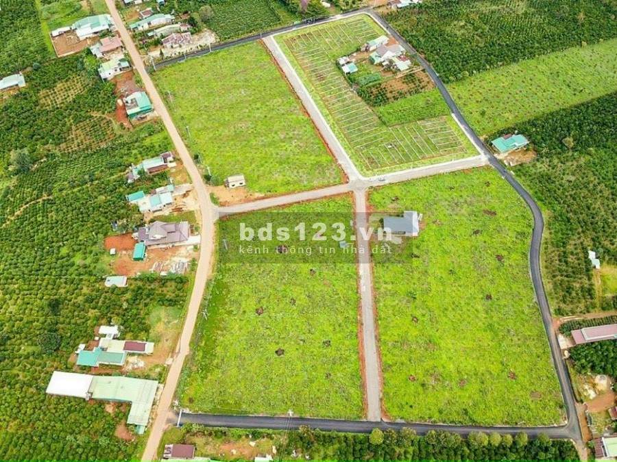 Đất Bảo Lộc đầu tư nghĩ dưỡng ngay mặt tiền lớn cách CT 10p giá chỉ 589 triệu