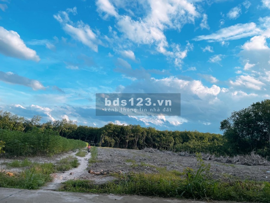 Bà nội có lô đất cần bán gần khu công nghiệp Minh Hưng Chơn Thành Bình Phước