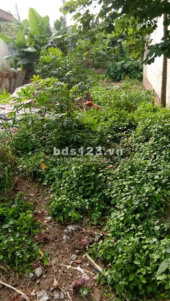 Bán gấp đất Đông Ngạc Bắc Từ Liêm,oto 7 chỗ vào nhà, pháp lý chuẩn giao dịch ngay