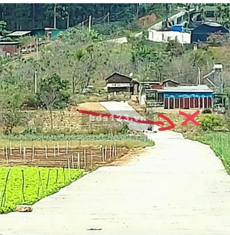 Bán đất srnn đường Mimosa, P10, tp Đà Lạt giá bán 2 tỷ, sổ sẵn chính chủ bàn giao ngay