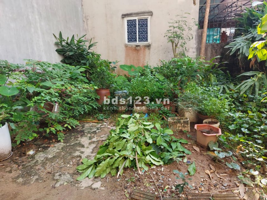 Bán lô đất đường Cổ Linh diện tích 794m2, mặt tiền 22m, giá chào 85 tỷ, sổ đỏ chính chủ