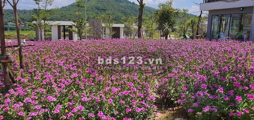 Bán đất nghỉ dưỡng thung lũng Thanh Xuân, xã Ngọc Thanh, TP Phúc Yên, Vĩnh Phúc. LH: 0988758886