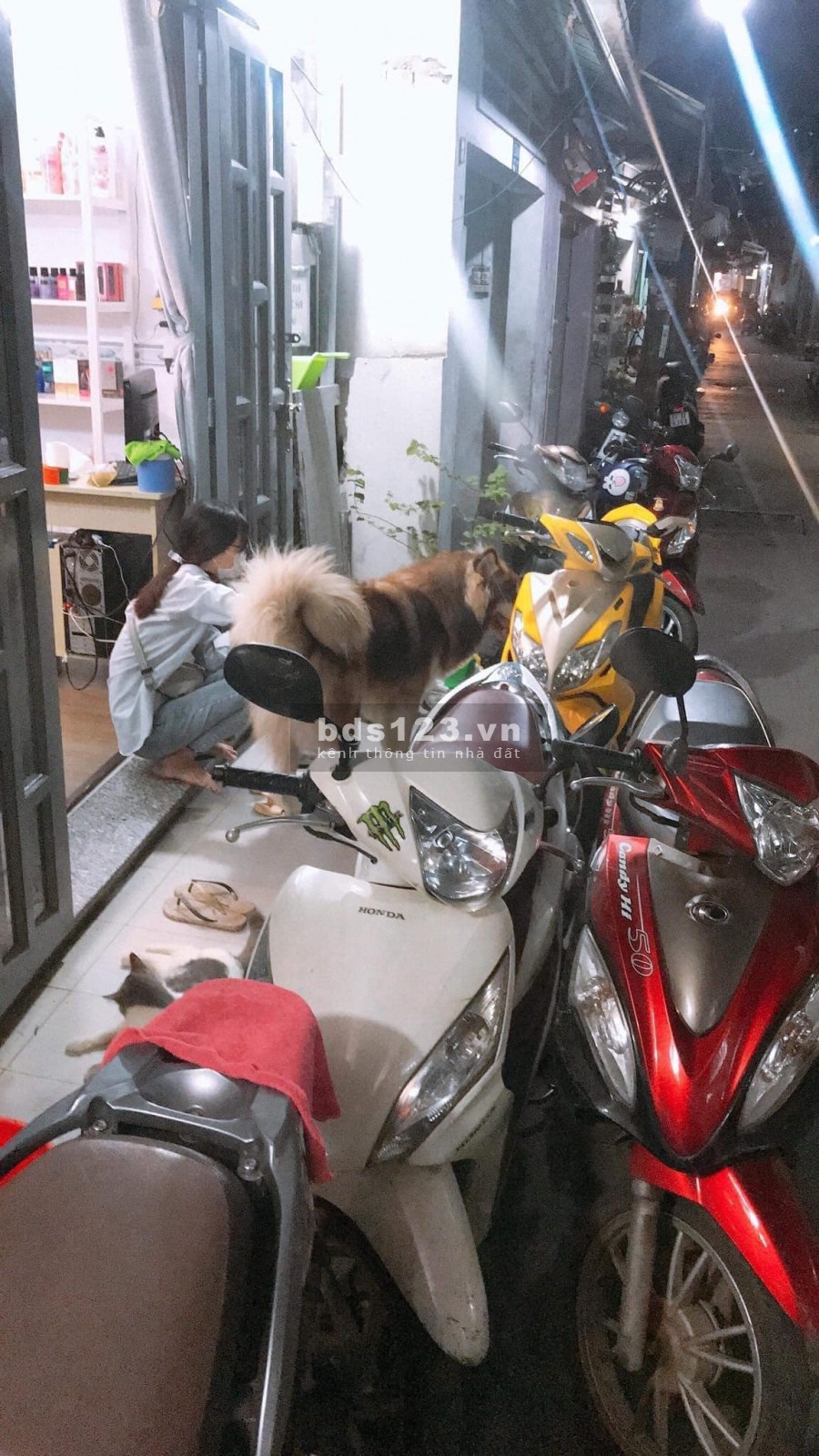 Nhà 1 xẹt ngay mặt tiền 3 tầng làm căn hộ dịch vụ hoặc ở rất tiện, giá 2.98 tỷ phường 10, Quang Trung