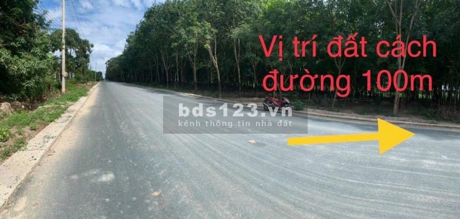 Cực sốc: Chỉ cần 470tr anh chị đã mua được lô đất có diện tích 250m2 nằm sát đường nhựa lộ giới lớn.