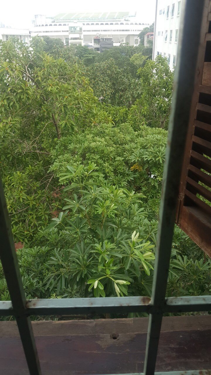 Chính chủ bán căn hộ tập thể bệnh viện 354, ngõ 29 phố Đội Nhân, Ba Đình dt 70m2 Giá 1.68 tỷ