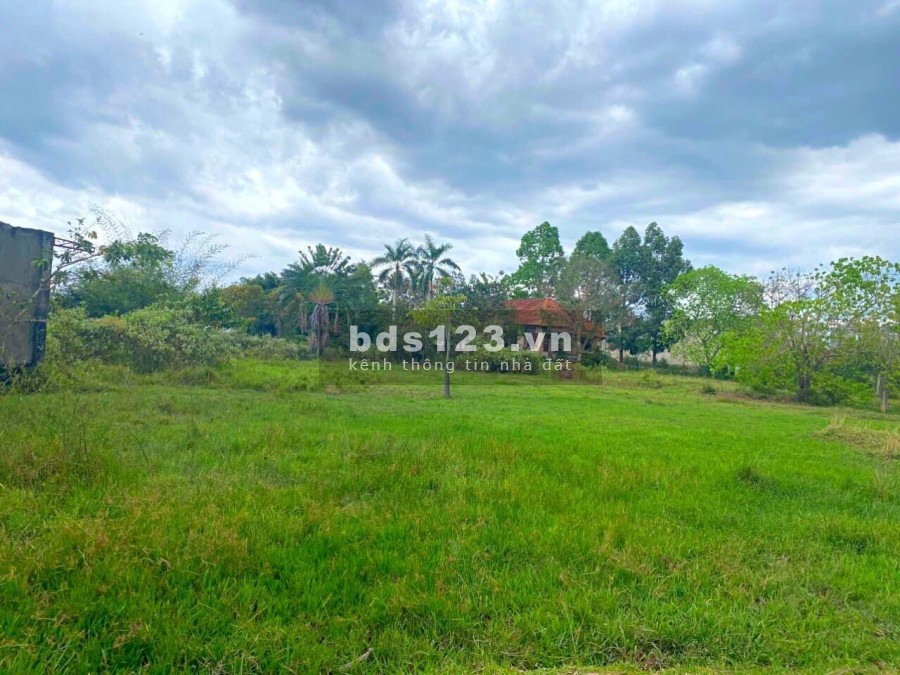 Đất mặt tiền đường trục chính Nguyễn Thị Rành đường liên tỉnh Diện tích 5500m2 full thổ cư