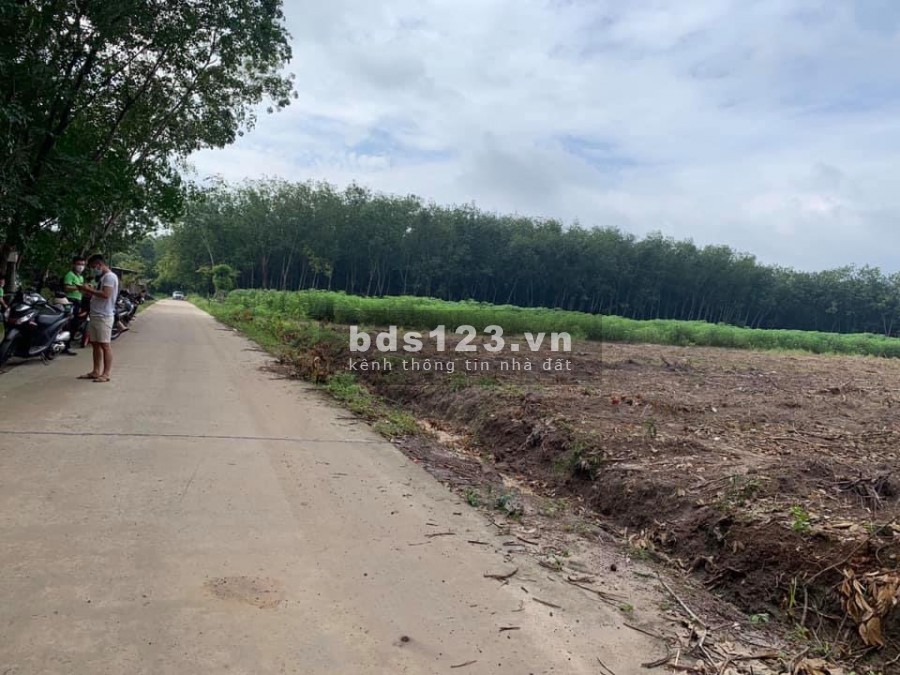 Bà nội có lô đất cần bán gần khu công nghiệp Minh Hưng Chơn Thành Bình Phước
