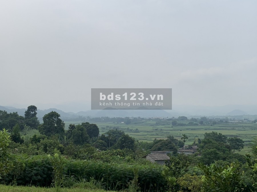 Cần bán lô đất diện tích 1700m ới 400m thổ cư tại Cao Phong-Hòa Bình
