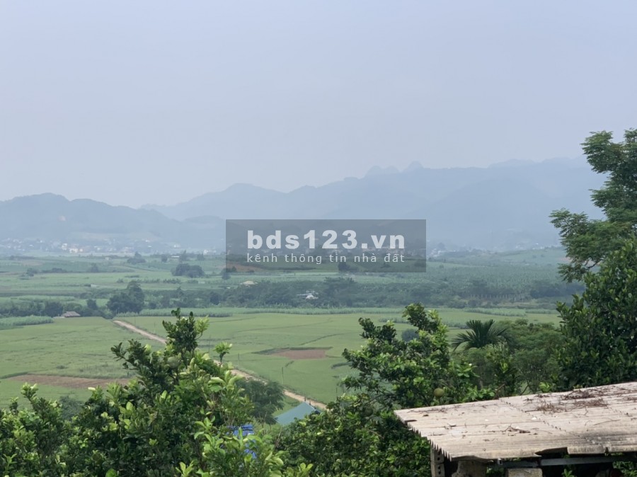 Cần bán lô đất diện tích 1700m ới 400m thổ cư tại Cao Phong-Hòa Bình