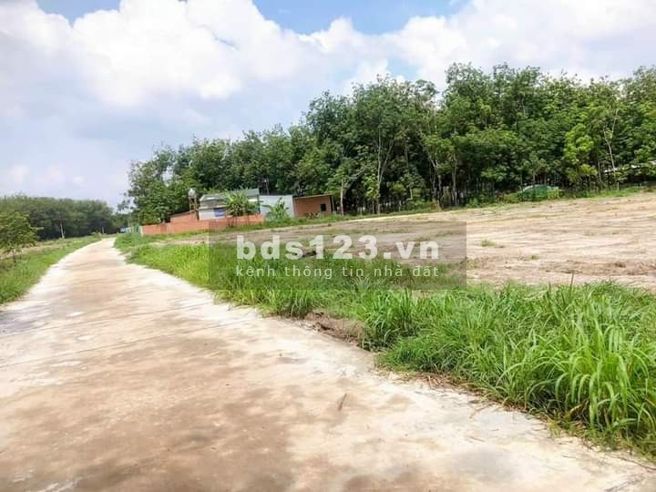 Chính chủ cần bán lô đất xào ấp 11 Minh Hưng Chơn Thành Bình Phước giá rẻ hơn thị trường 100tr