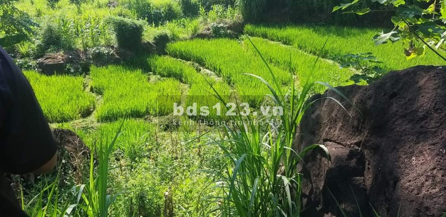 Chính chủ cần bán nhanh lô đất giá rẻ tại Kim Bôi Hòa Bình liên hệ xem đất 0377636889