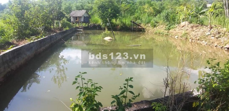 Chính chủ cần bán nhanh lô đất giá rẻ tại Kim Bôi Hòa Bình liên hệ xem đất 0377636889