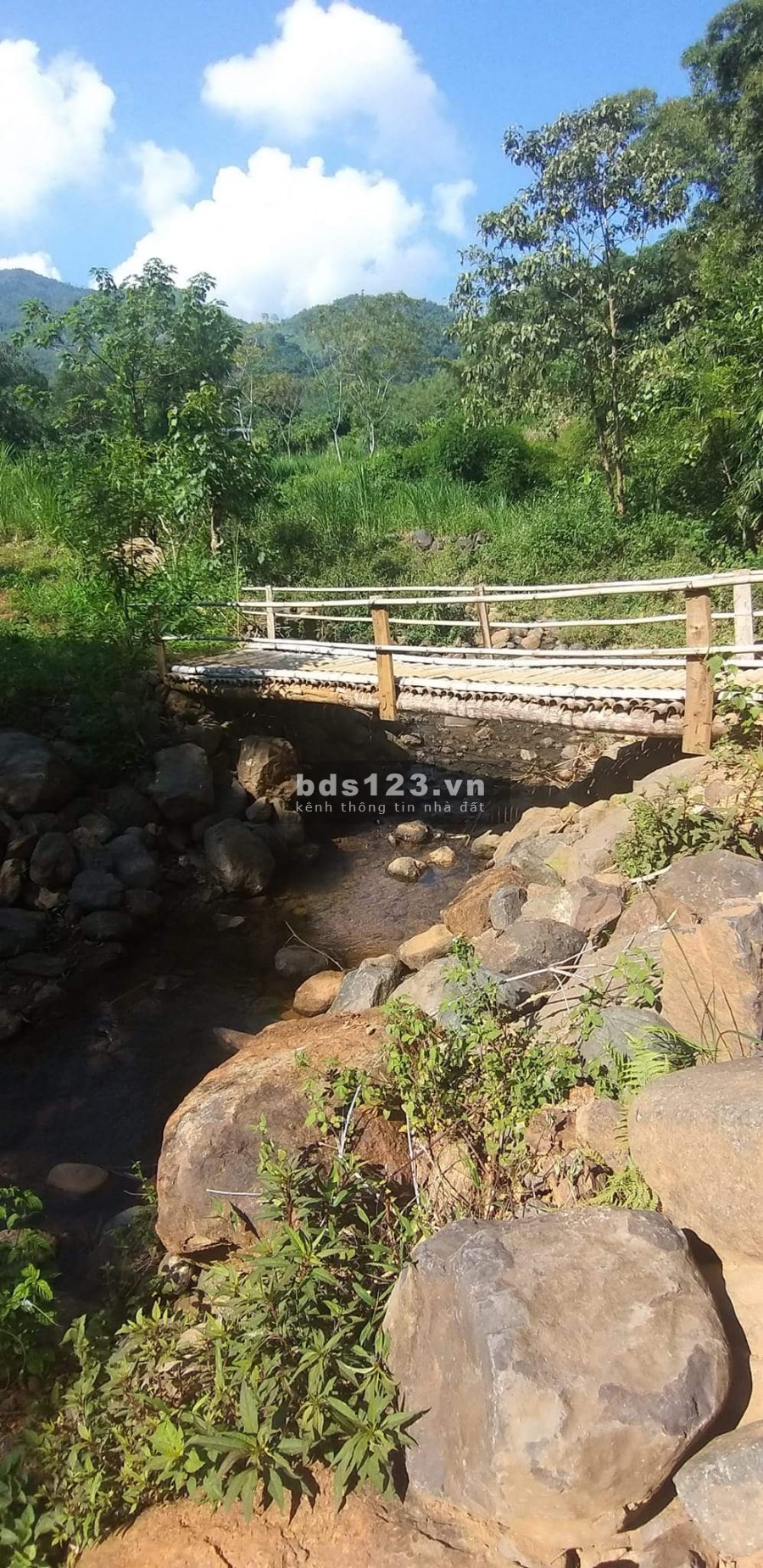 Chính chủ cần bán nhanh lô đất giá rẻ tại Kim Bôi Hòa Bình liên hệ xem đất 0377636889