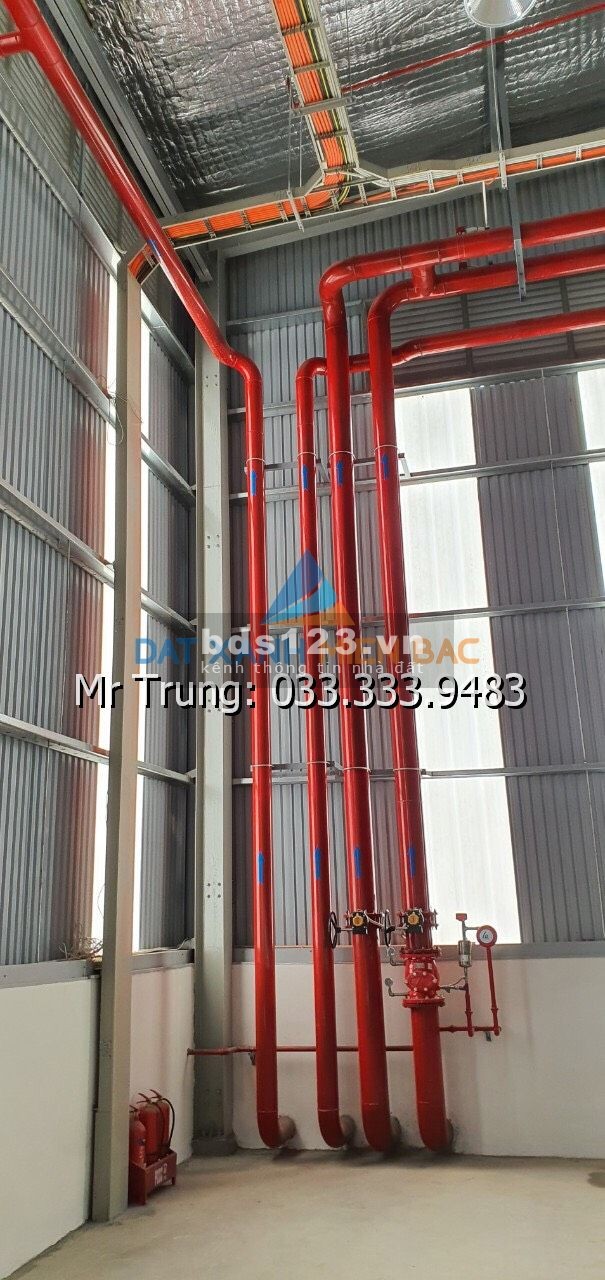 Cần cho thuê gấp kho xưởng đạt chuẩn khu vực Long Biên, pháp lý đầy đủ, rõ ràng