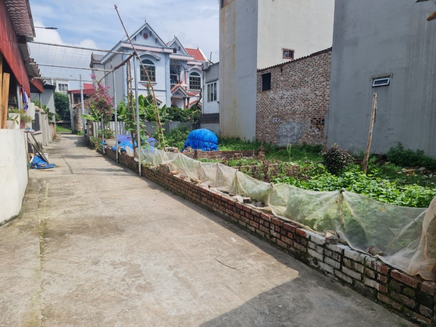 Bán Gấp 42M Mặt Tiền 5M Xuân Nộn Đường 3M Ngõ Thông Giá Chỉ 790Tr