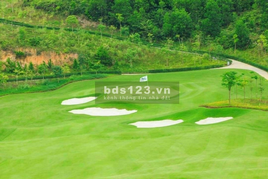 Sân Golf biệt thự nghỉ dưỡng FLC bậc nhất khu vực Tây Nguyên chính sách hấp dẫn