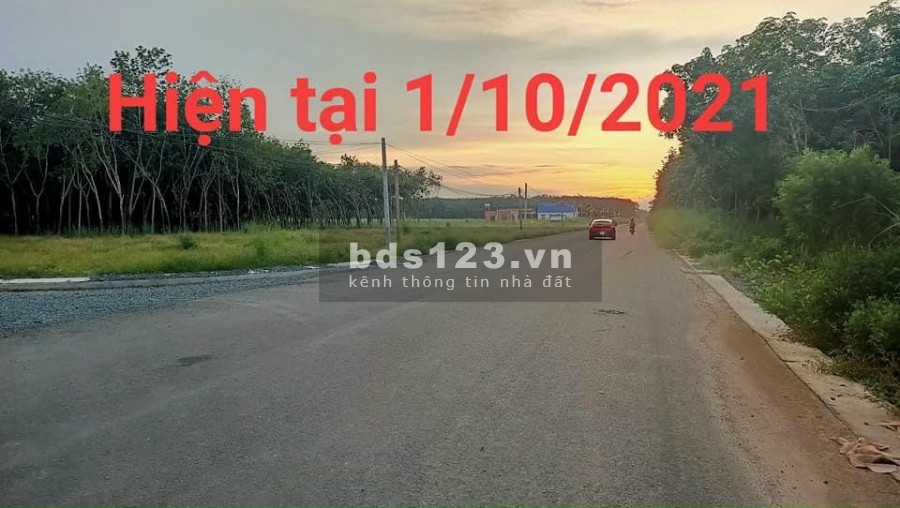 Đất nền chơn thành giá rẻ-Chủ kẹt vốn mua dịch nên bán gấp diện tích 225m2 chỉ 475 tr