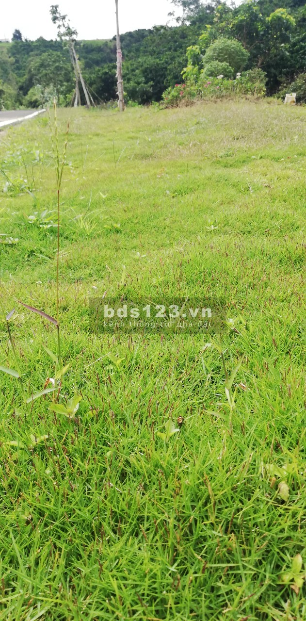 Bán nhanh mảnh đất diện tích 12X30m, 100% thổ cư, sổ hồng riêng tại Bảo Lộc giá 1.5 tỷ, thương lượng