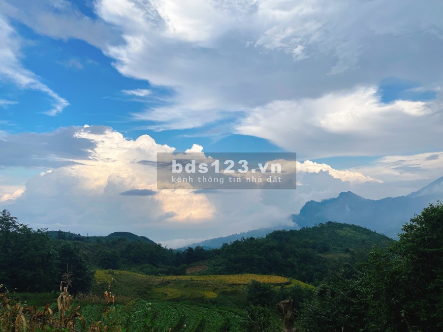 Bán lô đất diện tích rộng 1000m2 đất trung tâm Y Tý- giá phù hợp để đầu tư tiện ích đầy đủ