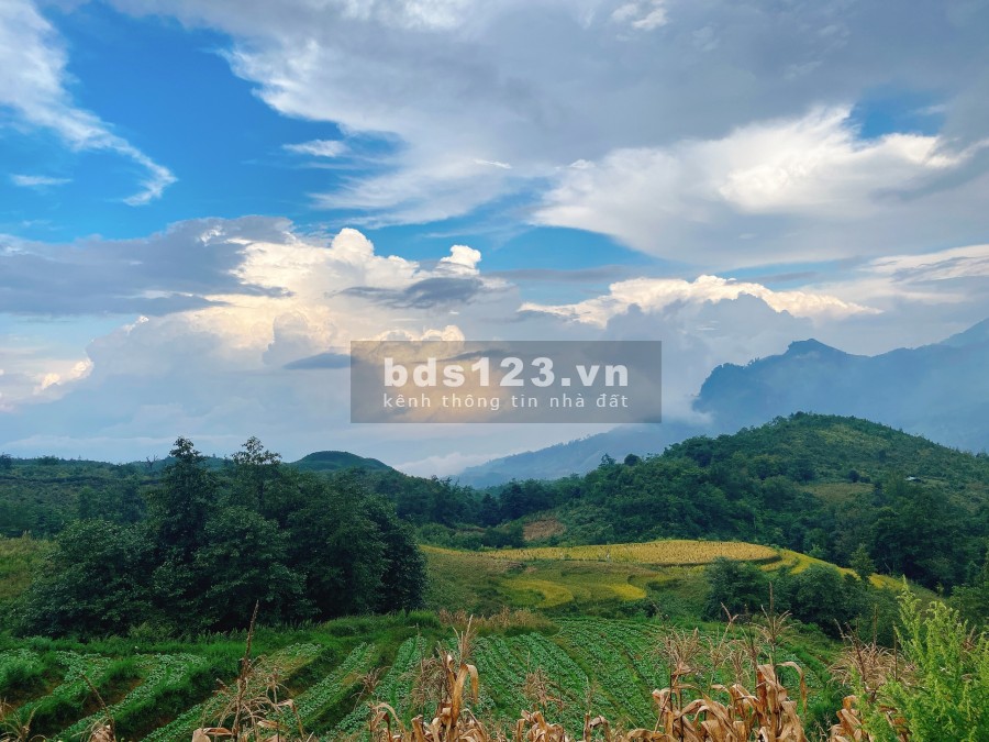 Bán lô đất diện tích rộng 1000m2 đất trung tâm Y Tý- giá phù hợp để đầu tư tiện ích đầy đủ