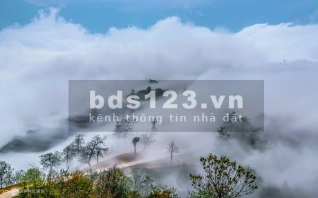 Bán lô đất diện tích rộng 1000m2 đất trung tâm Y Tý- giá phù hợp để đầu tư tiện ích đầy đủ