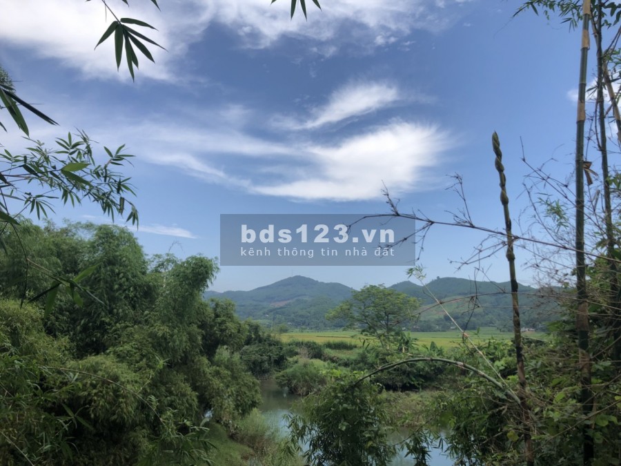 Bán siêu phẩm 6000m bám suối lớn view sông tại Lỗ Sơn - Tân Lạc giá bán 1.2 tỷ, lhcc