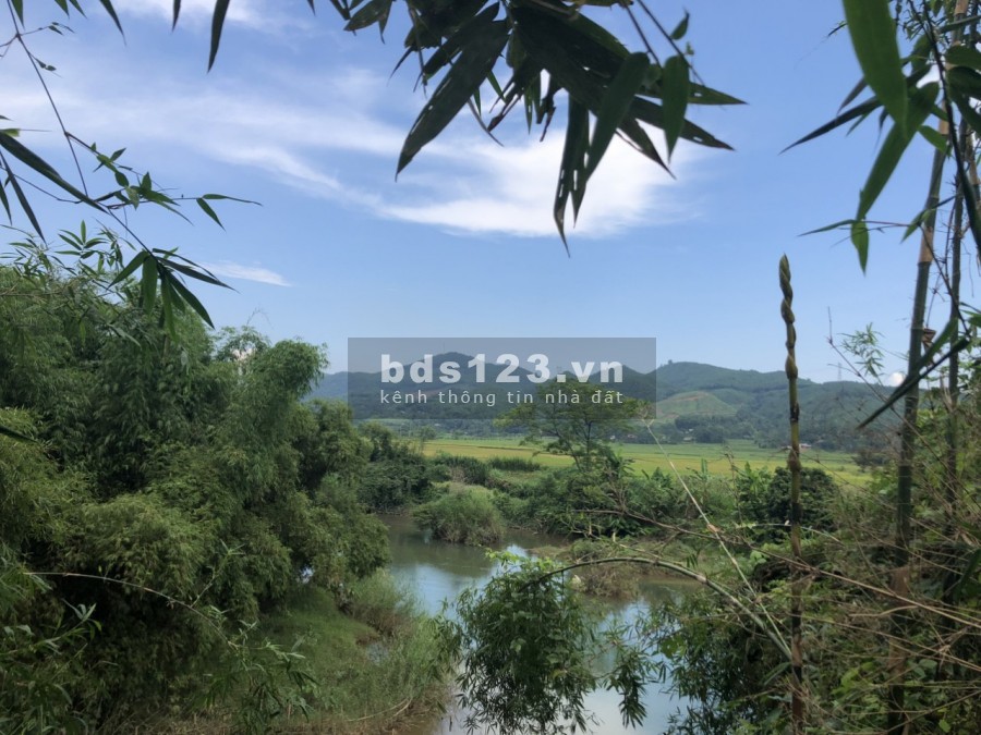 Bán siêu phẩm 6000m bám suối lớn view sông tại Lỗ Sơn - Tân Lạc giá bán 1.2 tỷ, lhcc