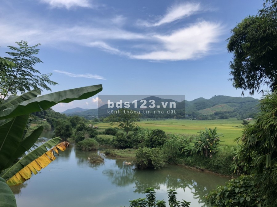 Bán siêu phẩm 6000m bám suối lớn view sông tại Lỗ Sơn - Tân Lạc giá bán 1.2 tỷ, lhcc