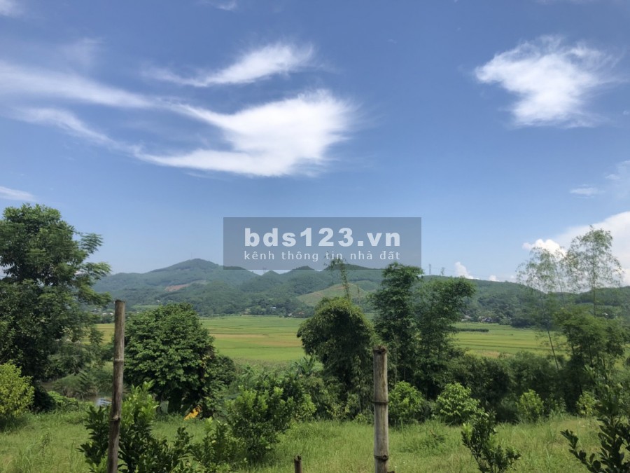 Bán siêu phẩm 6000m bám suối lớn view sông tại Lỗ Sơn - Tân Lạc giá bán 1.2 tỷ, lhcc