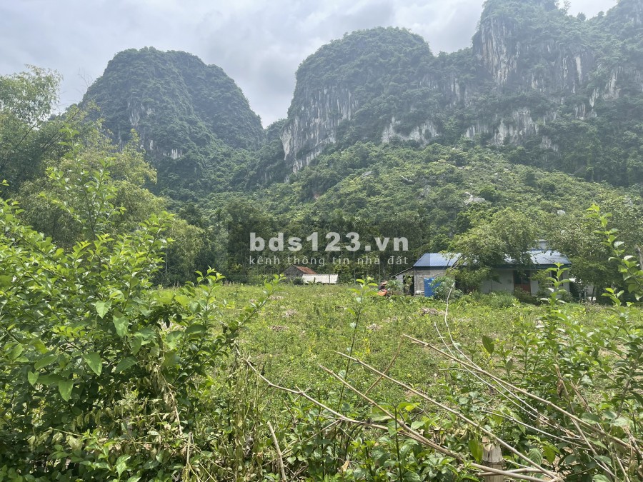 Cần bán 2100m2 có 1800m2 thổ cư, đất phẳng view núi đá, cảnh vật nên thơ đáng để về nghỉ dưỡng