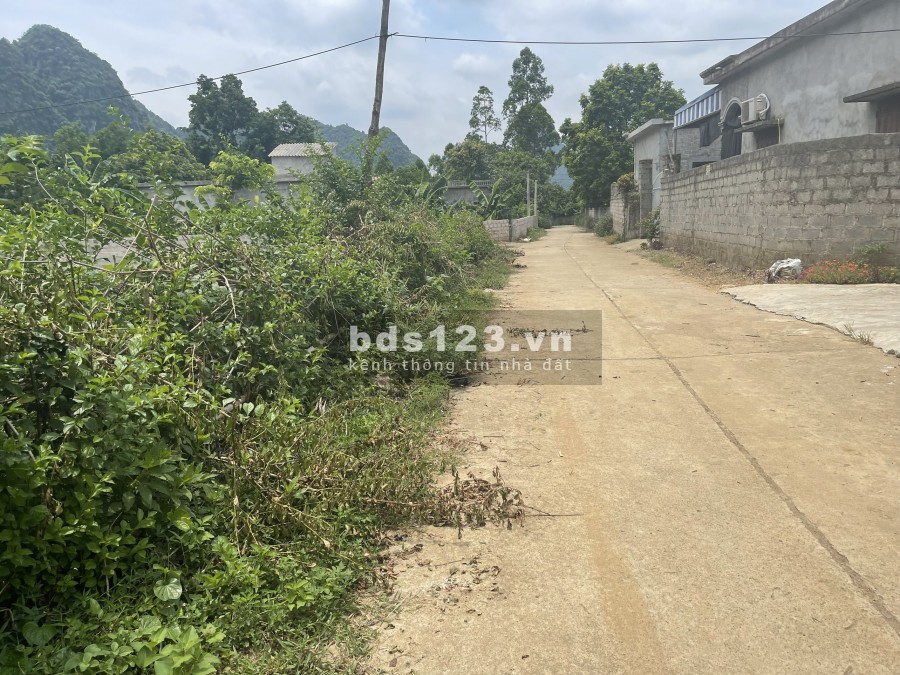 Cần bán 2100m2 có 1800m2 thổ cư, đất phẳng view núi đá, cảnh vật nên thơ đáng để về nghỉ dưỡng