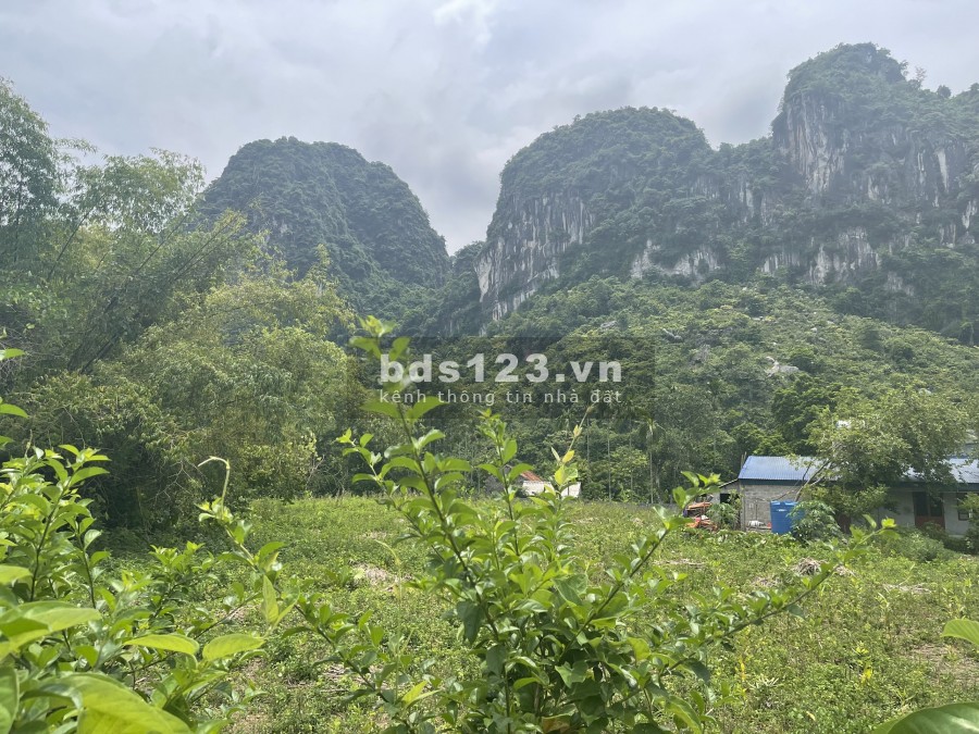 Cần bán 2100m2 có 1800m2 thổ cư, đất phẳng view núi đá, cảnh vật nên thơ đáng để về nghỉ dưỡng