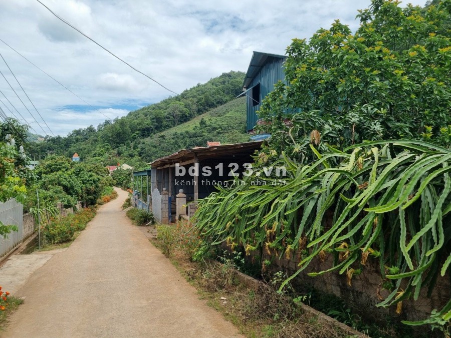 Đất nền đẹp phù hợp đầu tư, thanh khoản tốt tại Mộc Châu liên hệ 0328295476