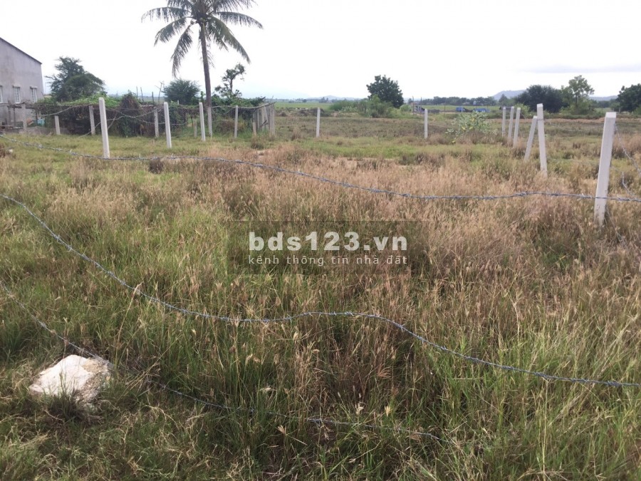 Chủ cần bán 2 lô đất Hộ Hải giá rẻ liên hệ xem đất 0937906358, kinh doanh lướt sóng