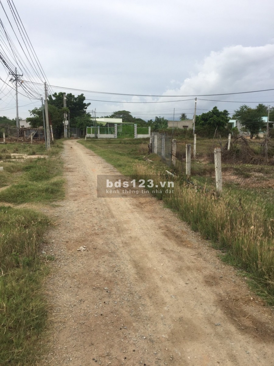 Chủ cần bán 2 lô đất Hộ Hải giá rẻ liên hệ xem đất 0937906358, kinh doanh lướt sóng