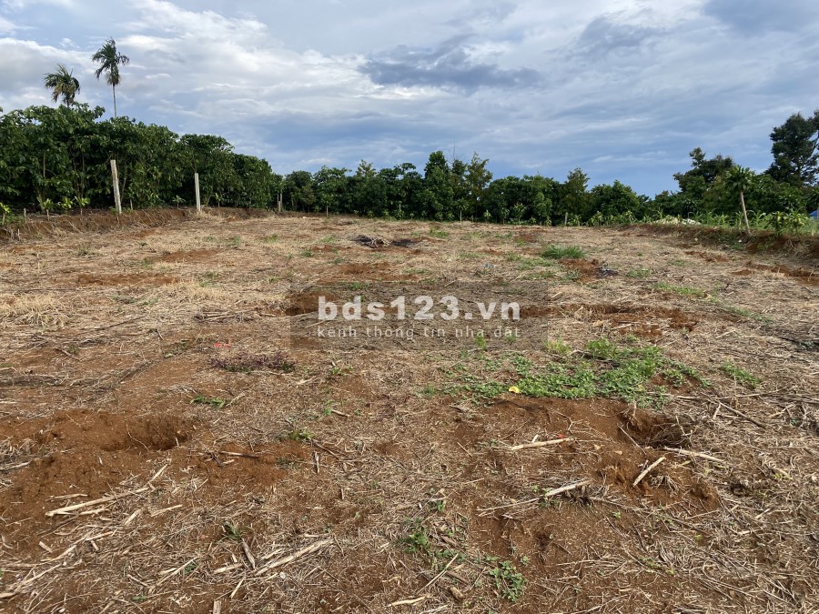 Cần tiền bán nhà Mặt tiền đường nhựa Xã Lộc An Huyện Bảo Lâm diện tích 500m2, sổ sẵn