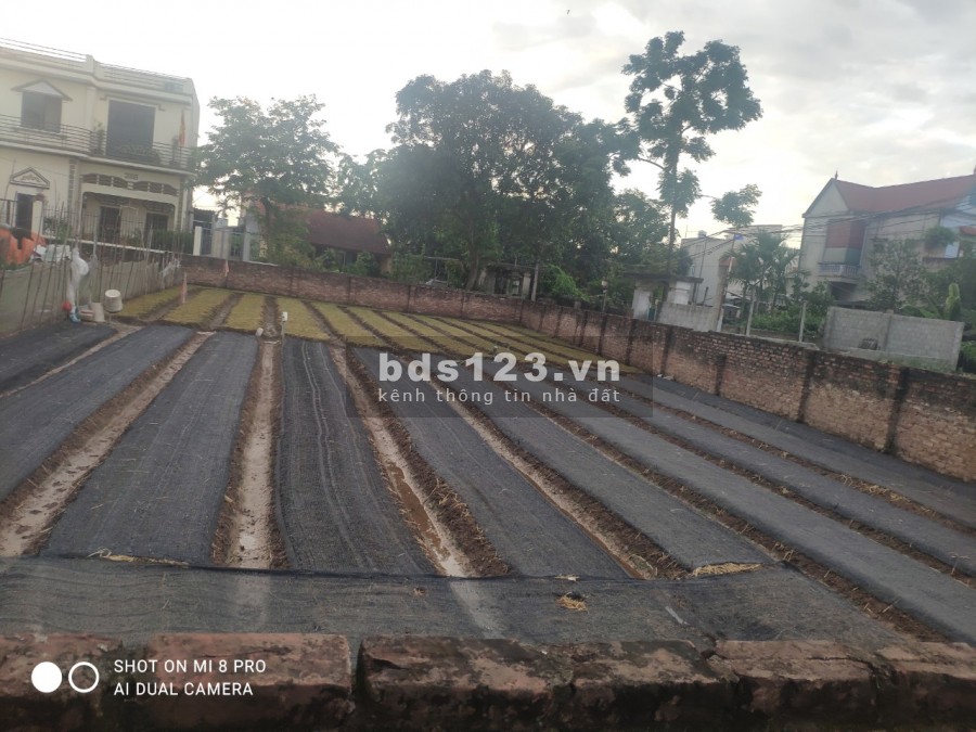 Cần bán gấp mảnh đất siêu đẹp Dt 175m, chia 3 suất đầu tư tại Thanh trì-Hà Nội